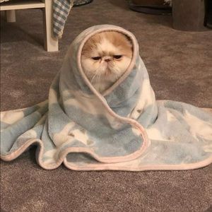 Meet your Posher, Melinda